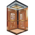 Fjzy-High Quality and Safety Home Lift Fjs-1633